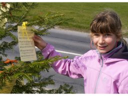 4182573
